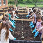 hobIT: raskošni školski vrtovi